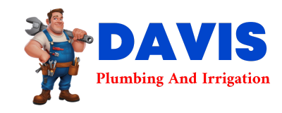 Trusted plumber in UNION LAKE